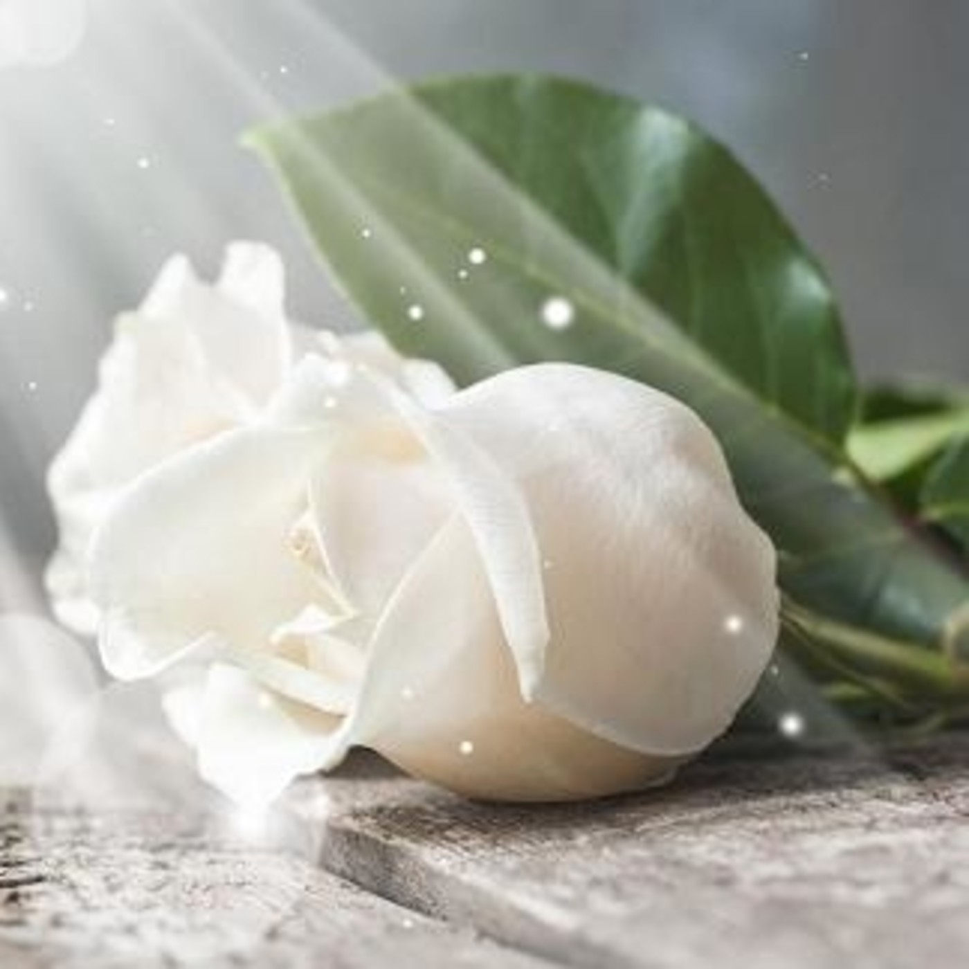 Podcast Reflexiones de Luz y Amor