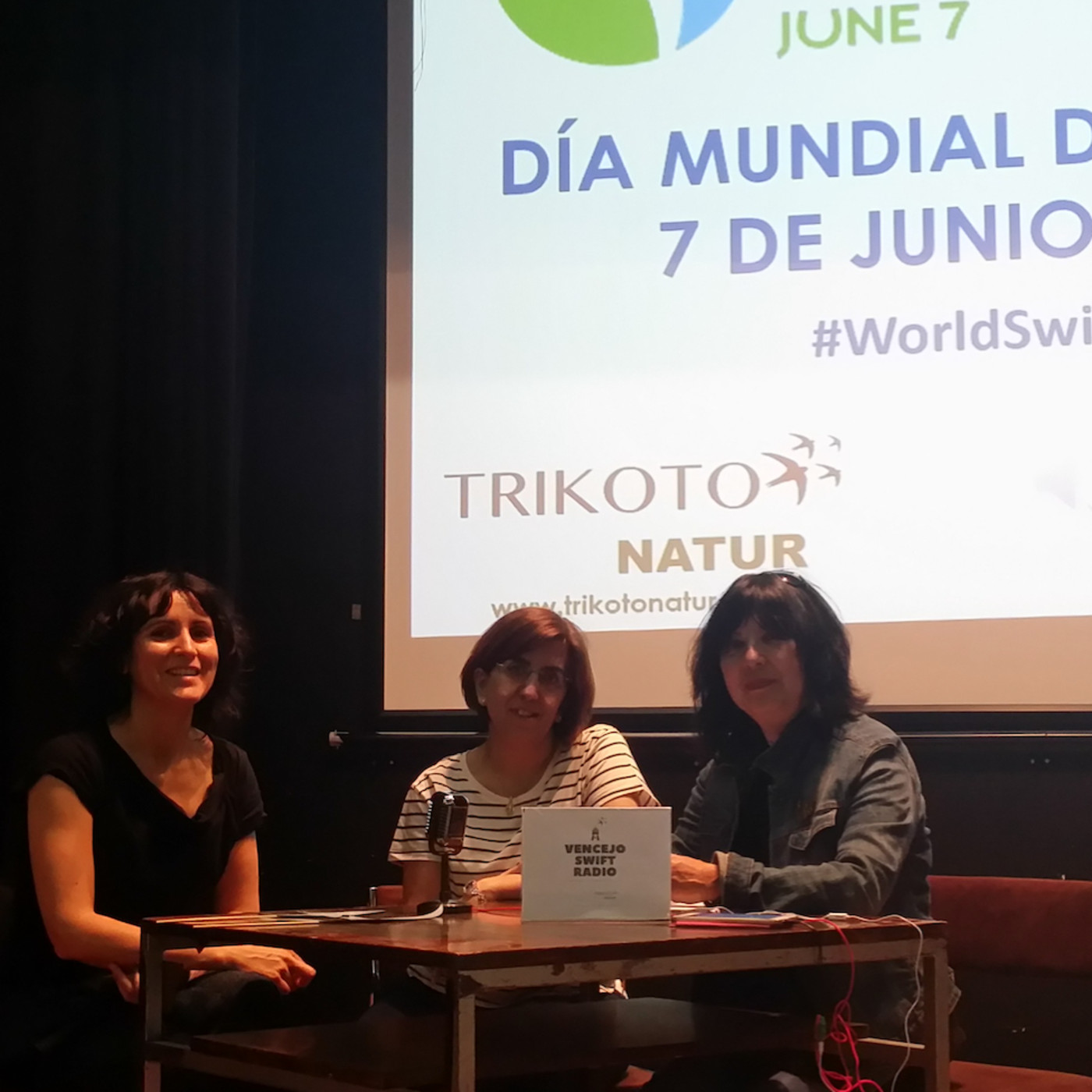 Vencejo Swift Radio
