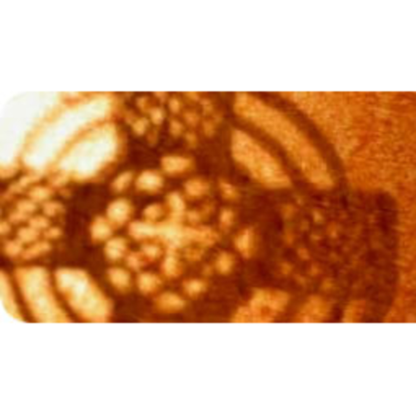 Comissió Setmana Santa Mataró