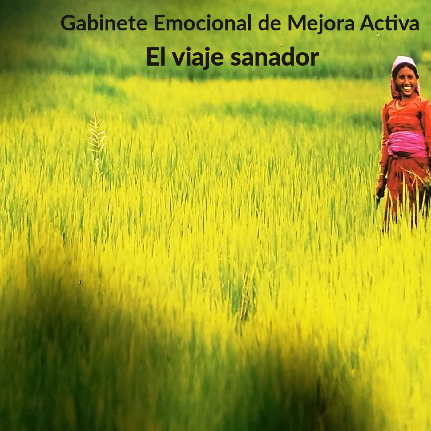 Gabinete Emocional de Mejora Activa - GEMA