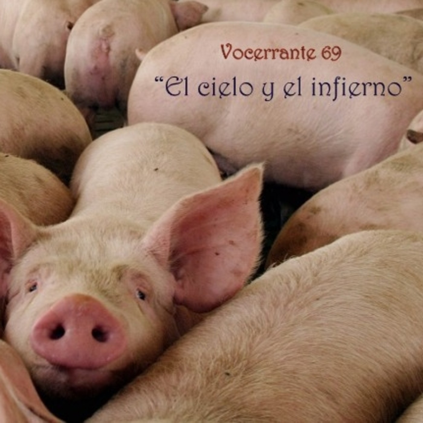 Podcast de Vocerrante