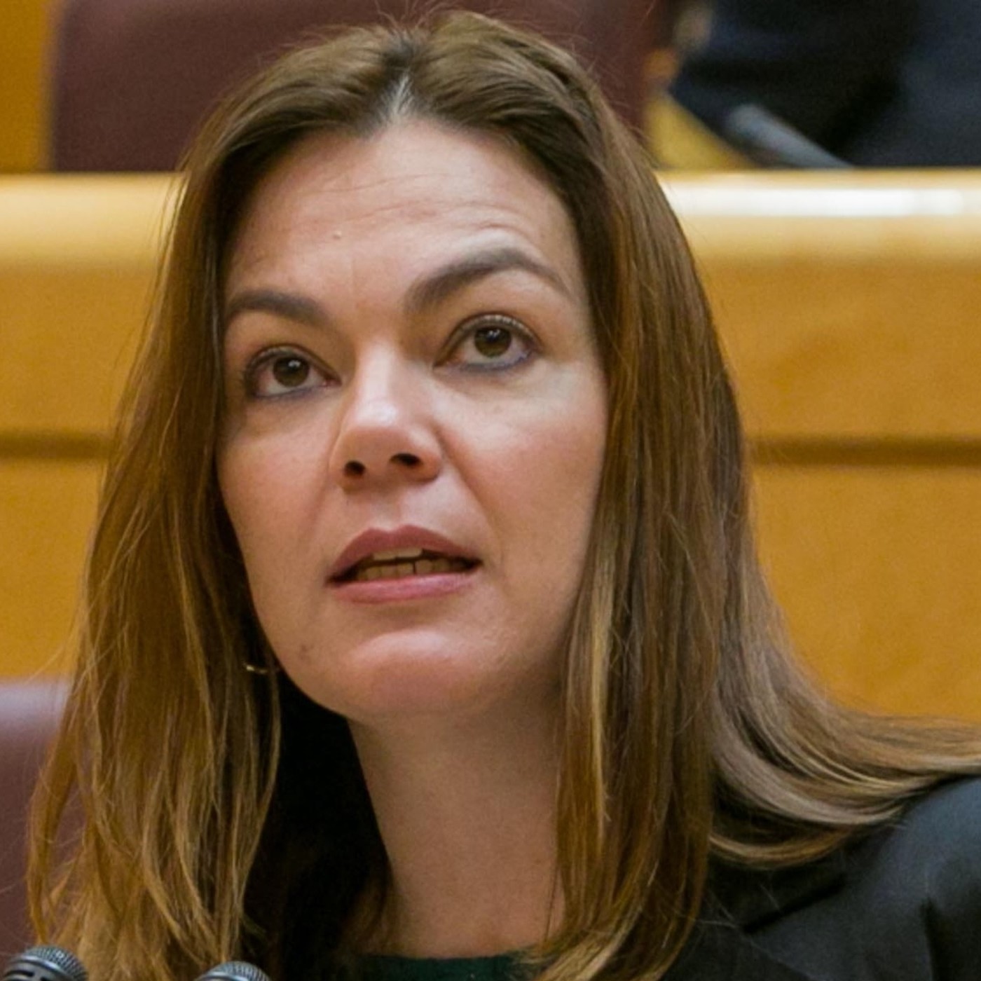 Nueva Canarias Senado