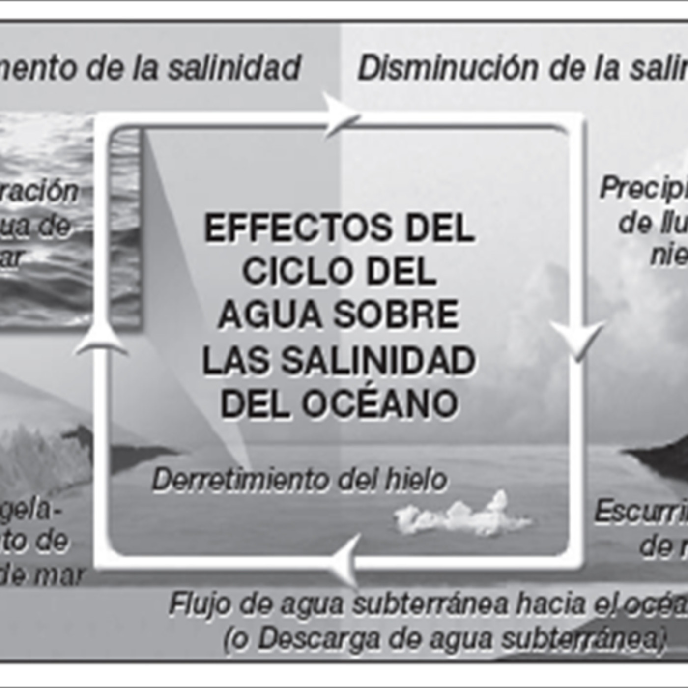 Otros audios de la Comunidad de Promotores