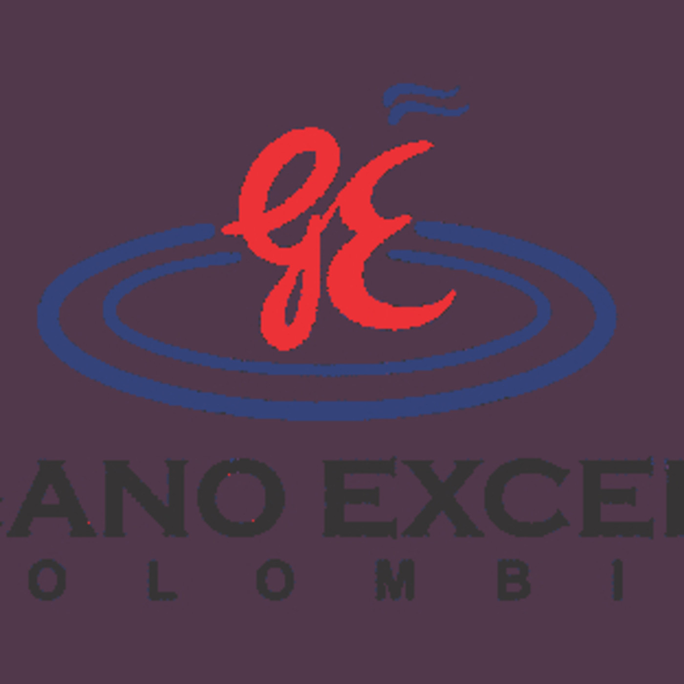 entrenamientos gano excel