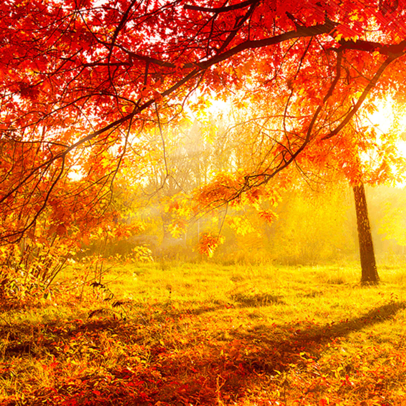 Podcast de RadioZurqui