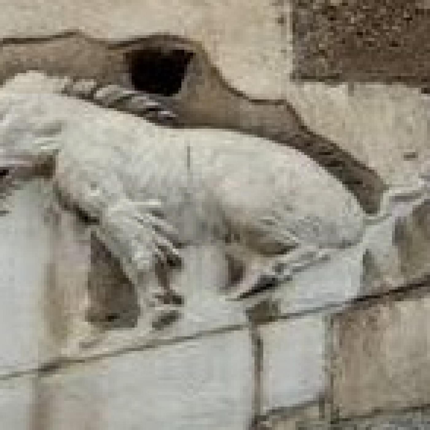 Podcast de Giorgio Redigonda