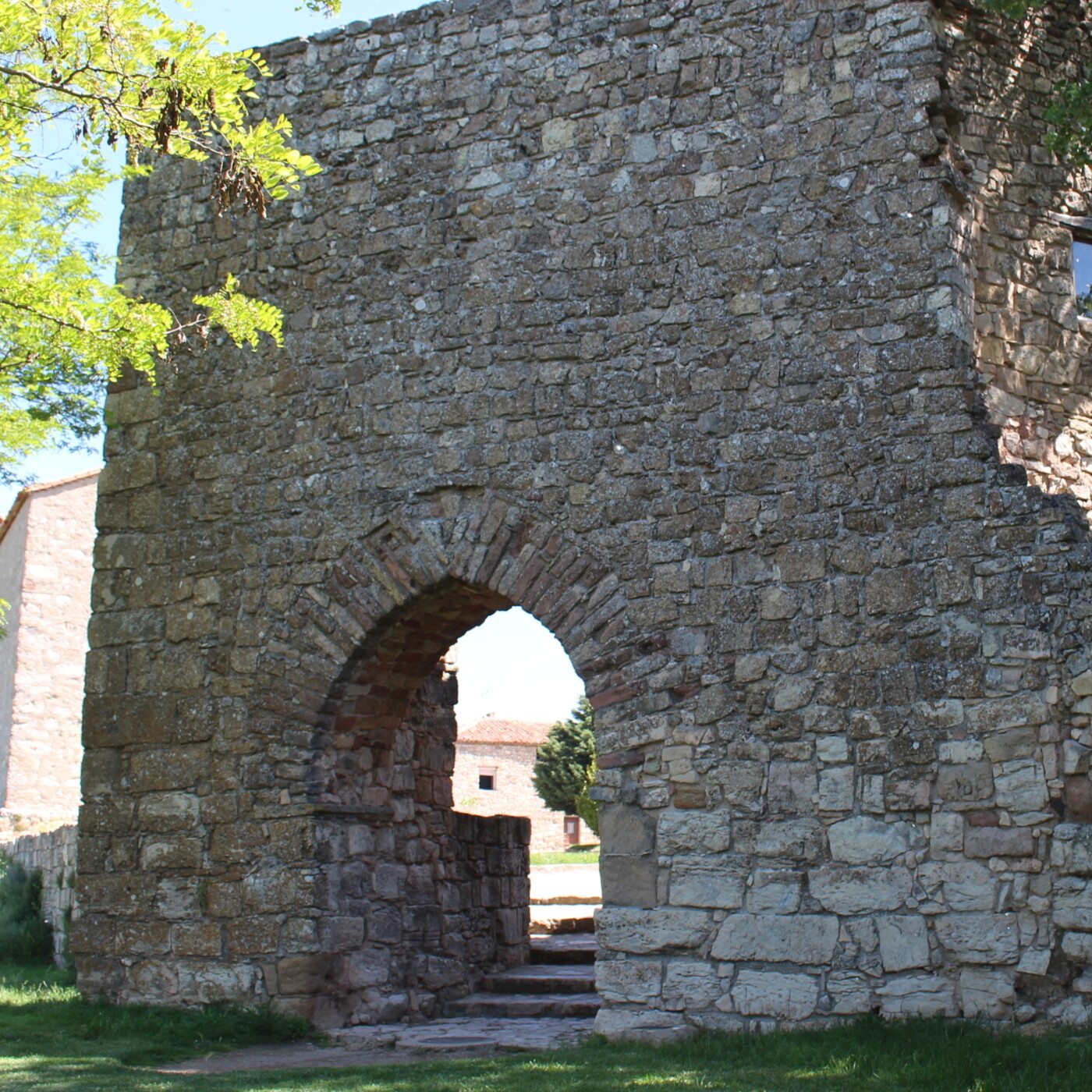 Fernando Vargas Torcal