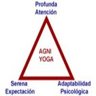 REFLEXIONES DE JUAN SANCHEZ ACERCA DEL CAPITULO XXV DEL LIBRO DE VICENTE BELTRAN ANGLADA "INTRODUCCION AL AGNI YOGA"
