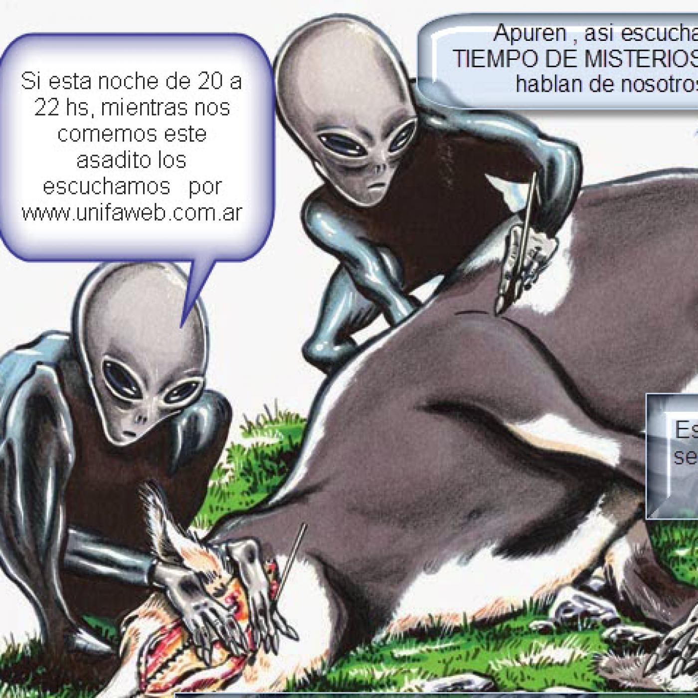 Programa numero 17 episode artwork