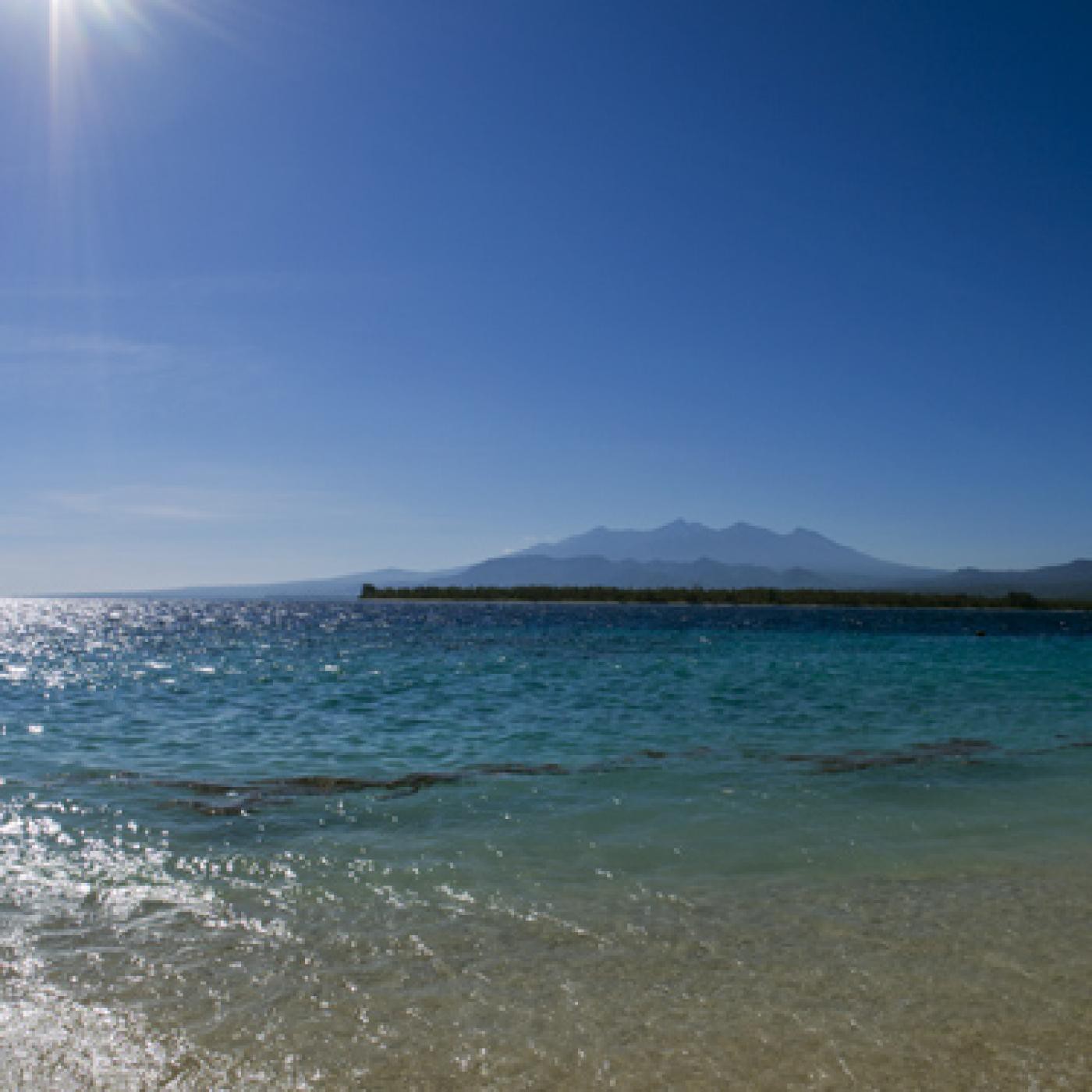 Zona Oasis