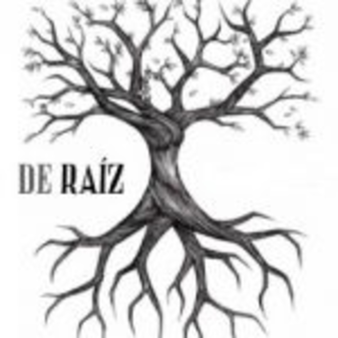 De Raíz Radio