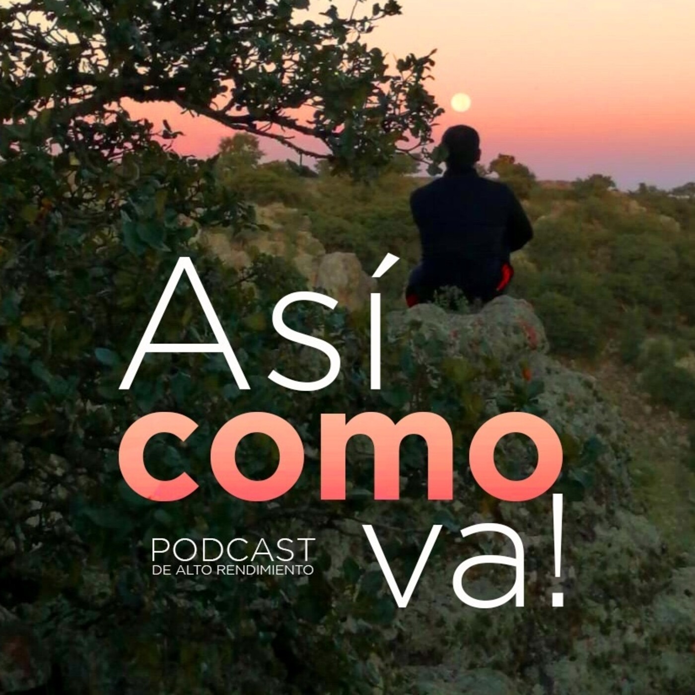 ¡Así como va!