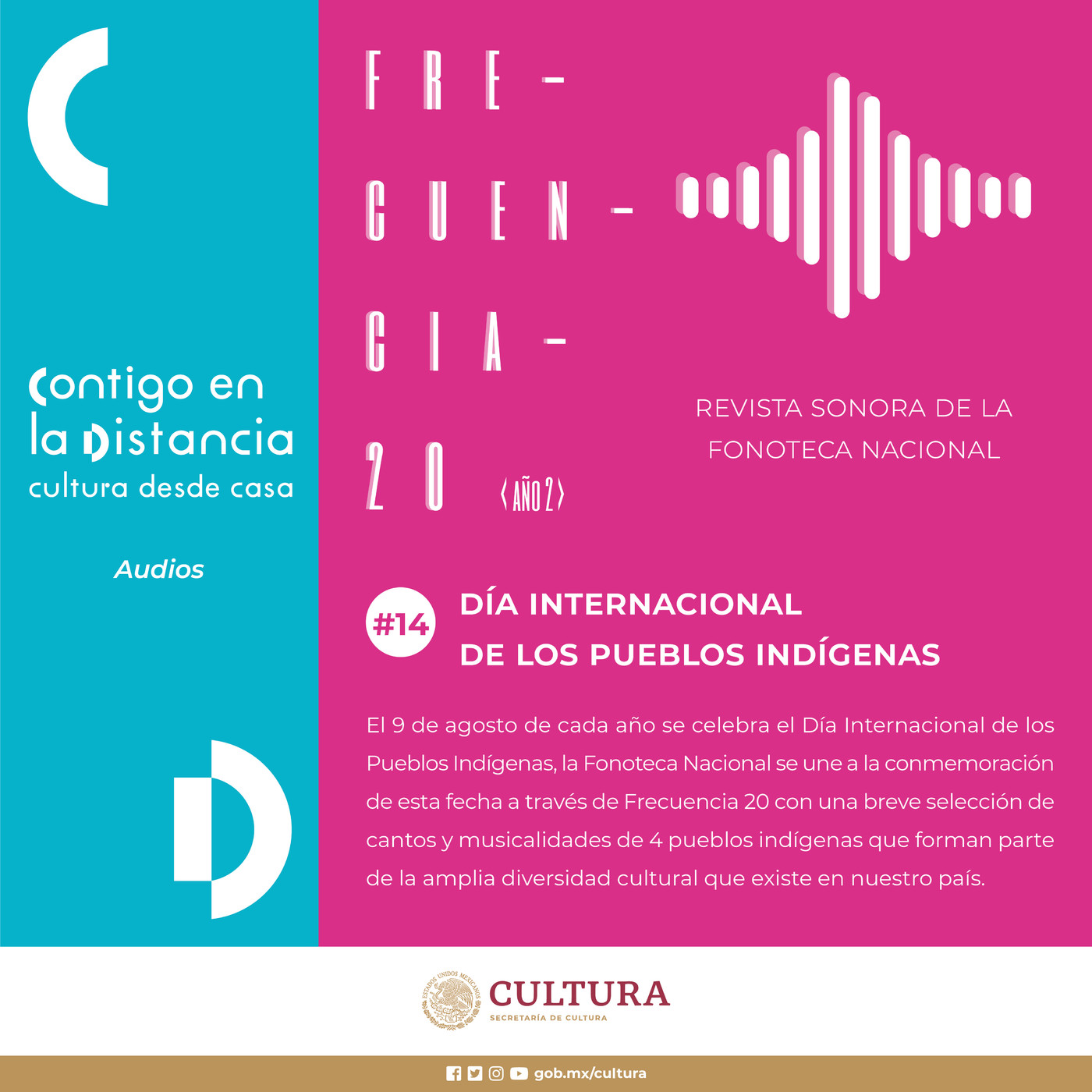 Frecuencia 20