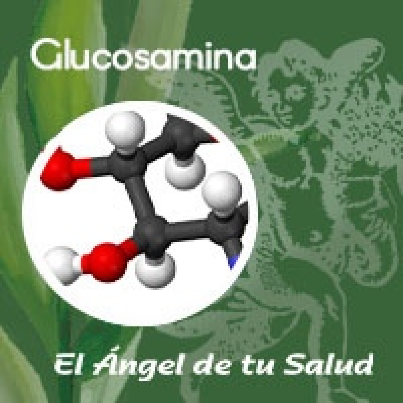 El Ángel de tu Salud - Glucosamina** episode artwork