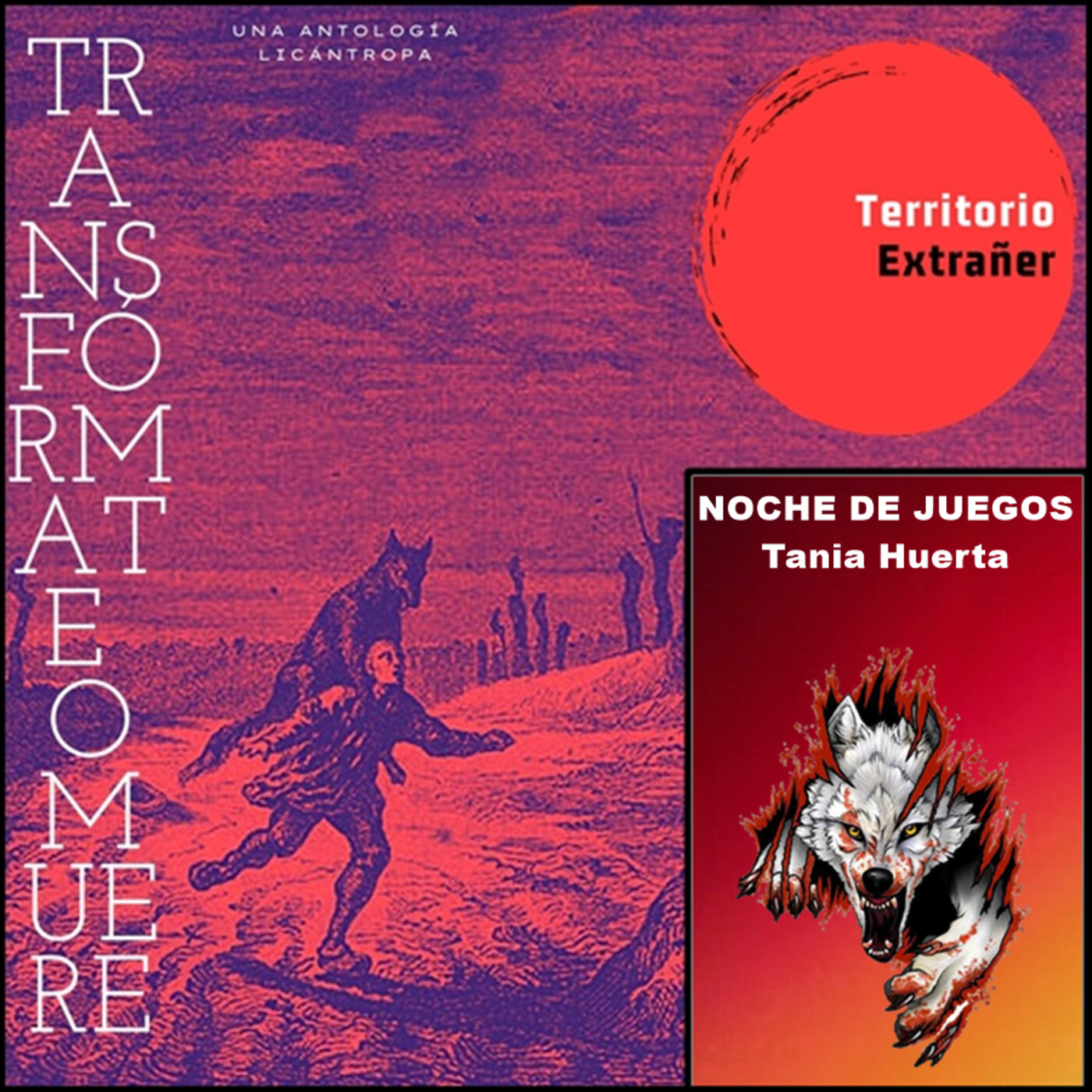 Territorio Extrañer