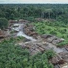 La deforestaciÓn 2