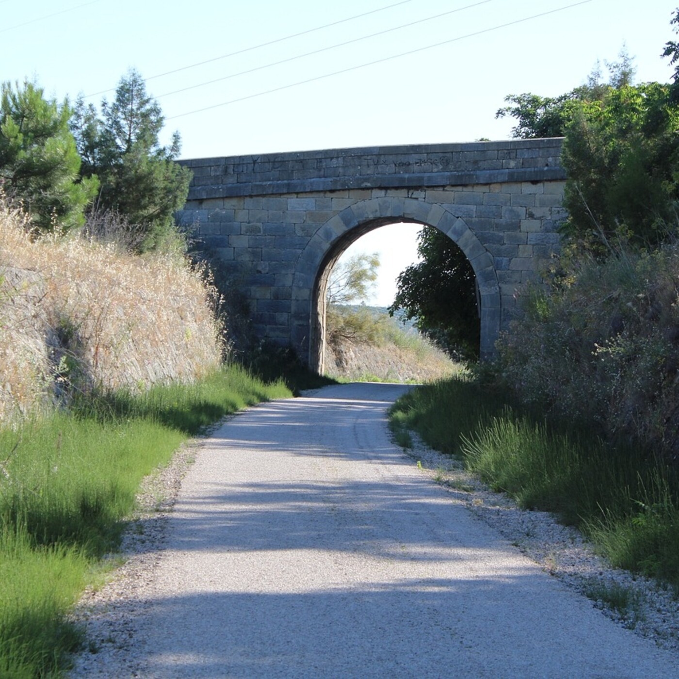 CAMINOS NATURALES