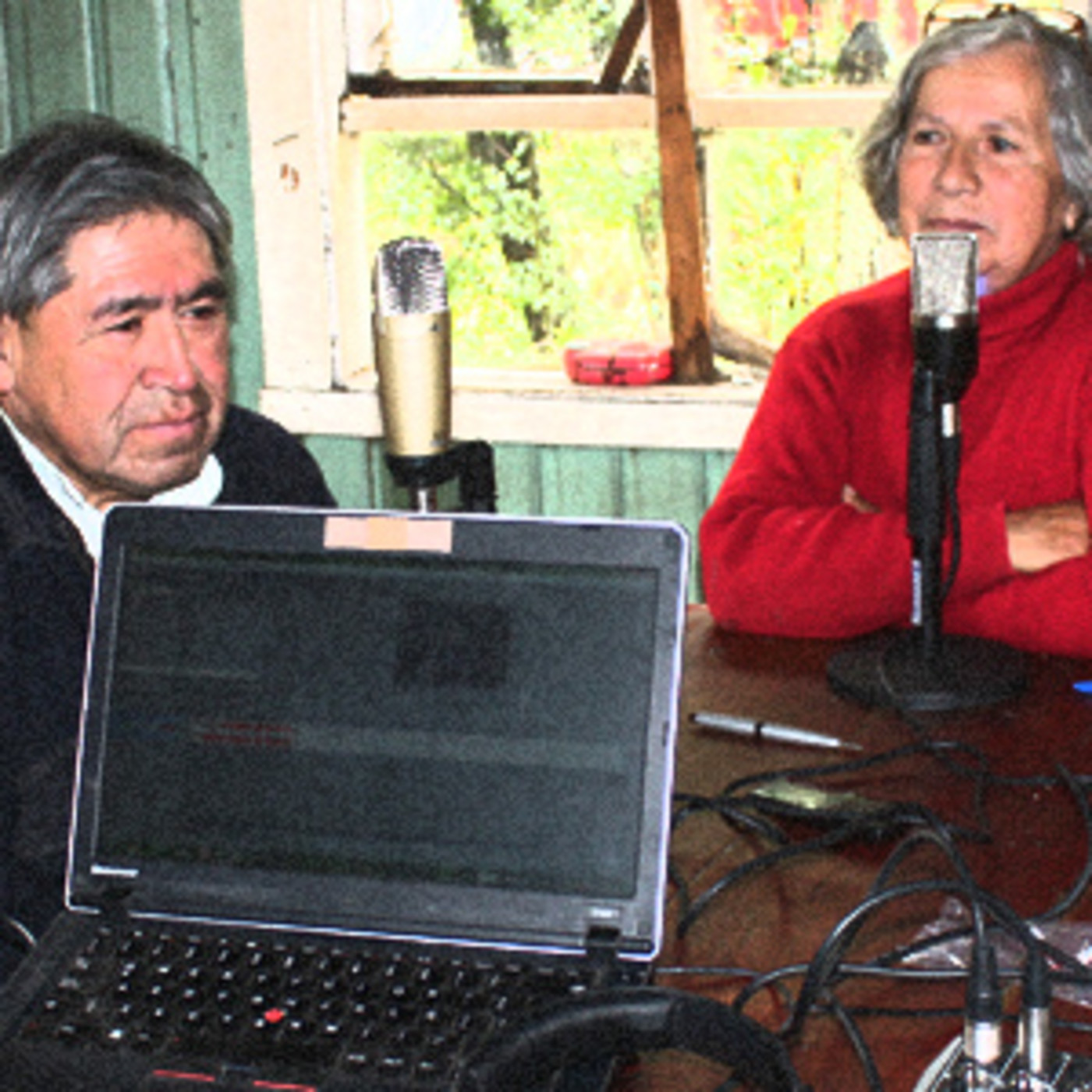 Revista Radial Puelche