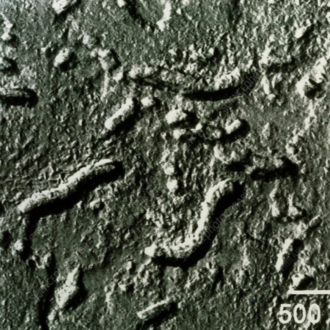 1105 - Los secretos del Allan Hills 84001 y de otros meteoritos marcianos