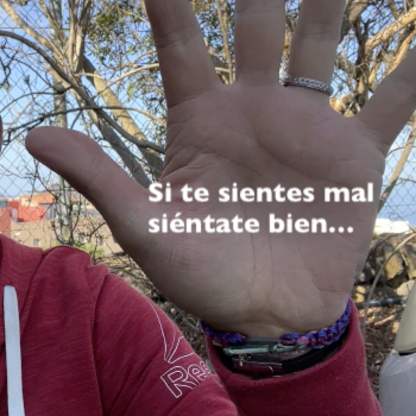 Buscando en el interior