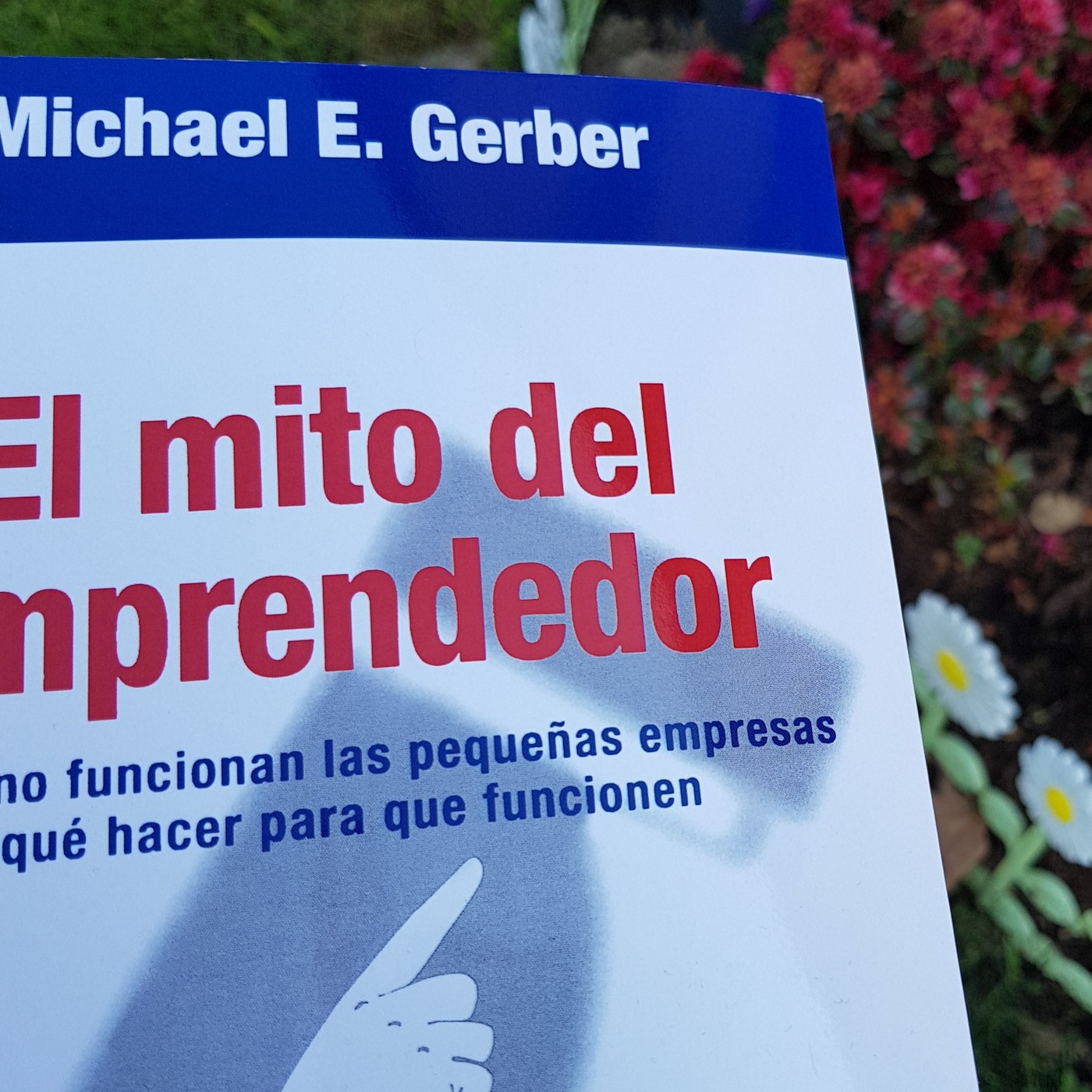 Amando Desde el Corazón