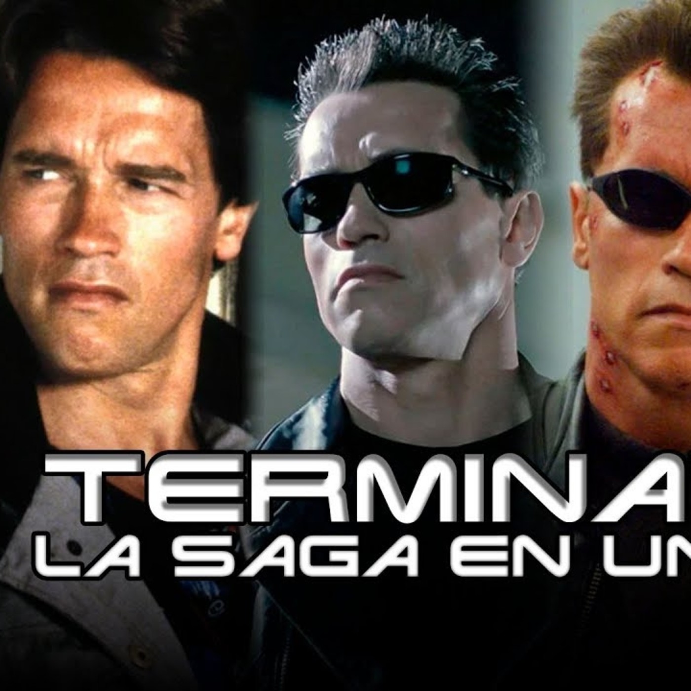 Terminator: La Saga en 1 Video