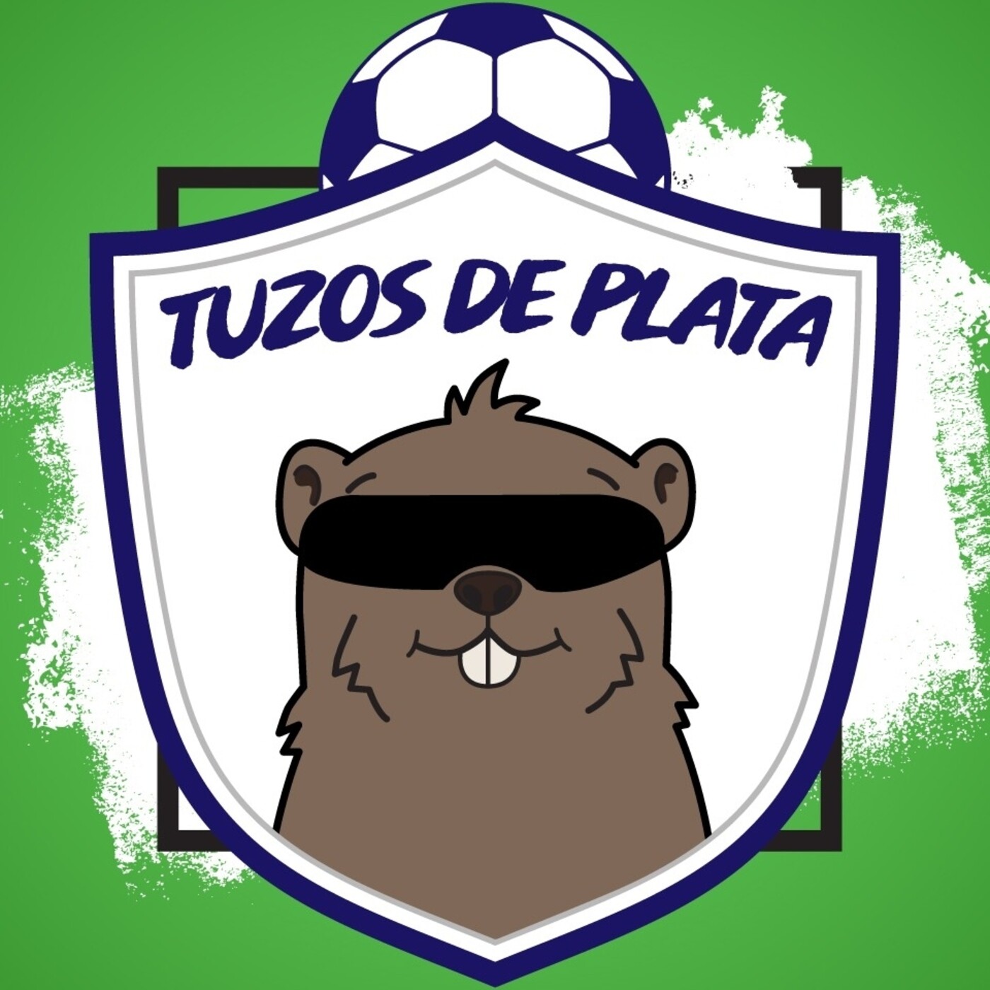 FUTSAL MEXICANO