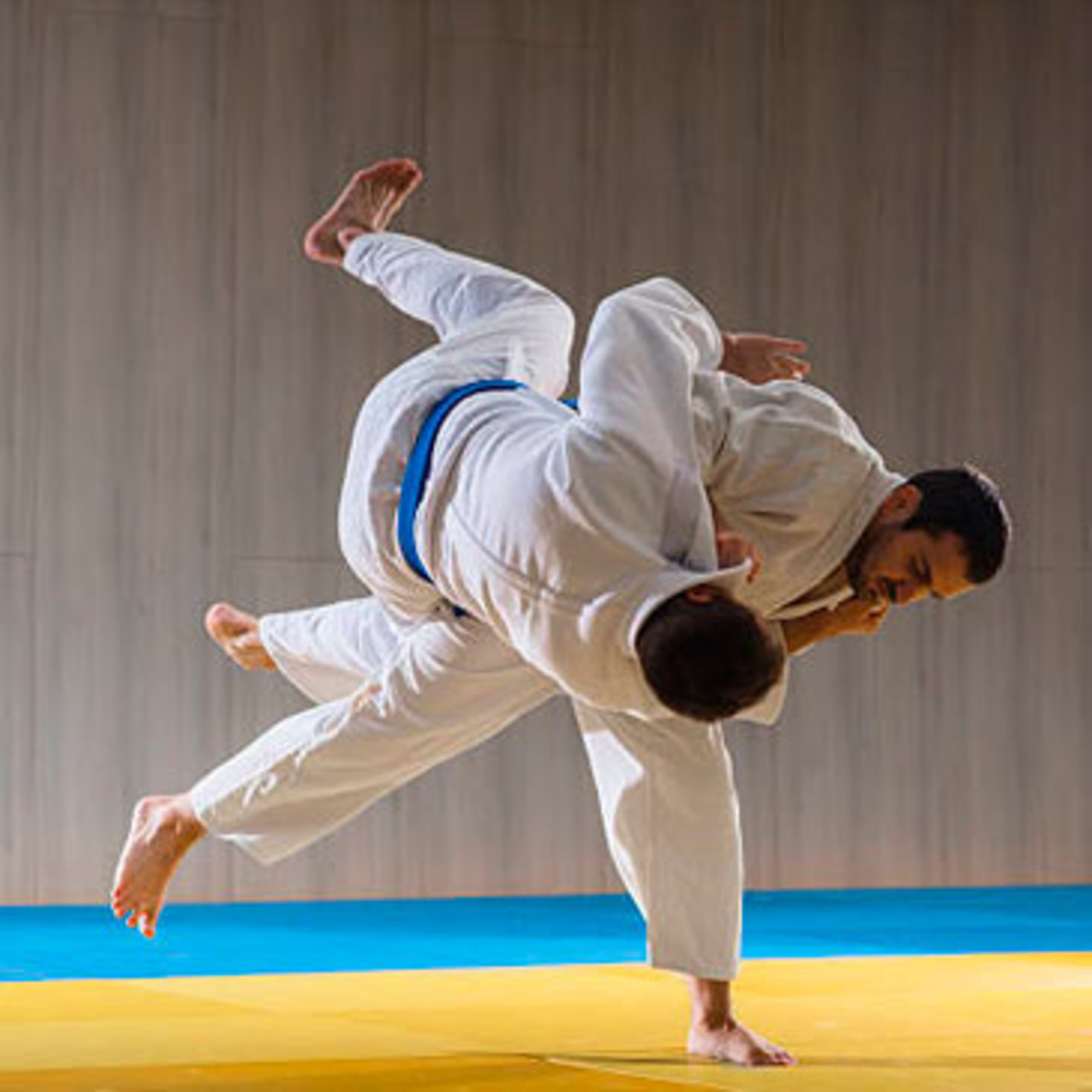 Dragonz | Artes Marciales y Deportes de Contacto