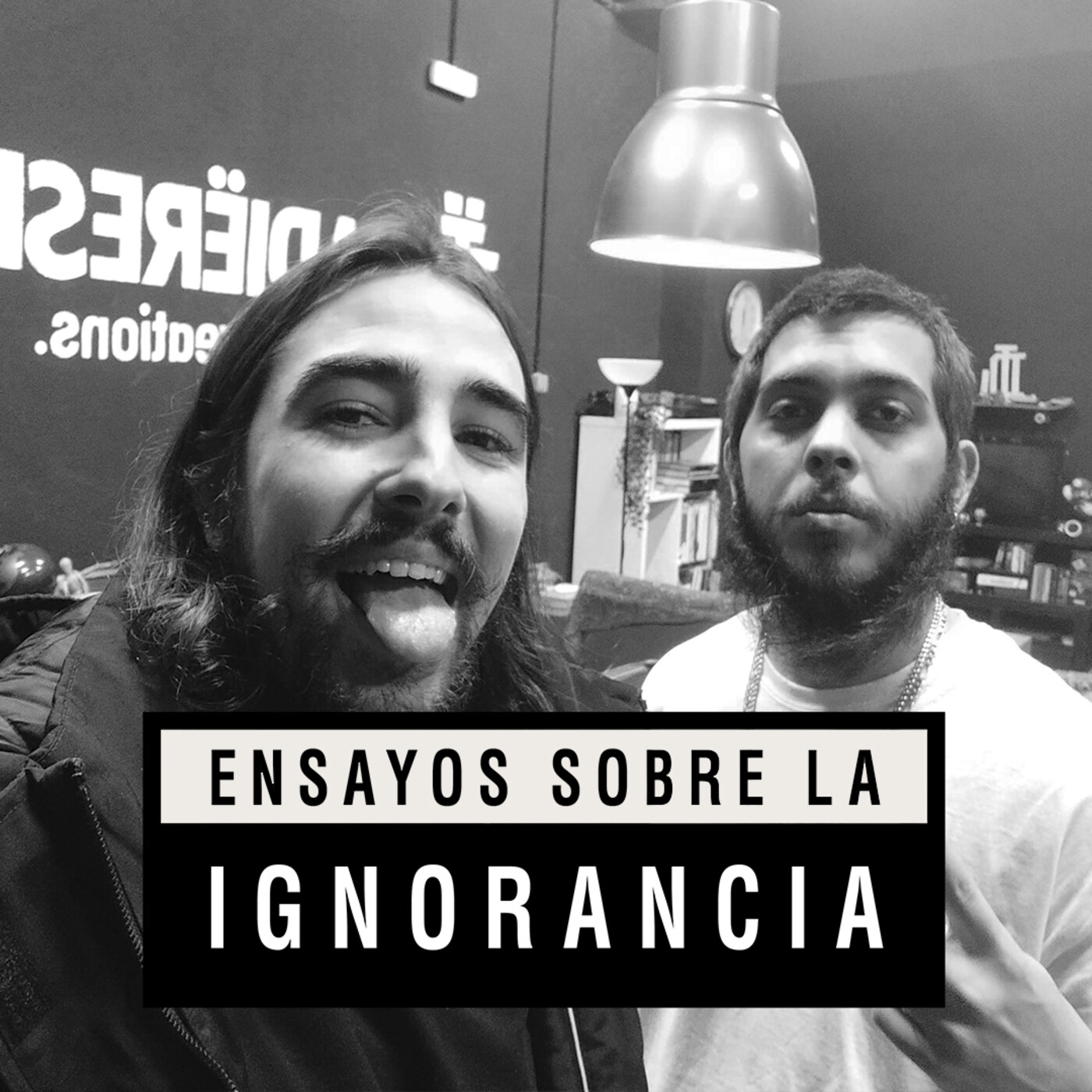 Ensayos sobre la ignorancia