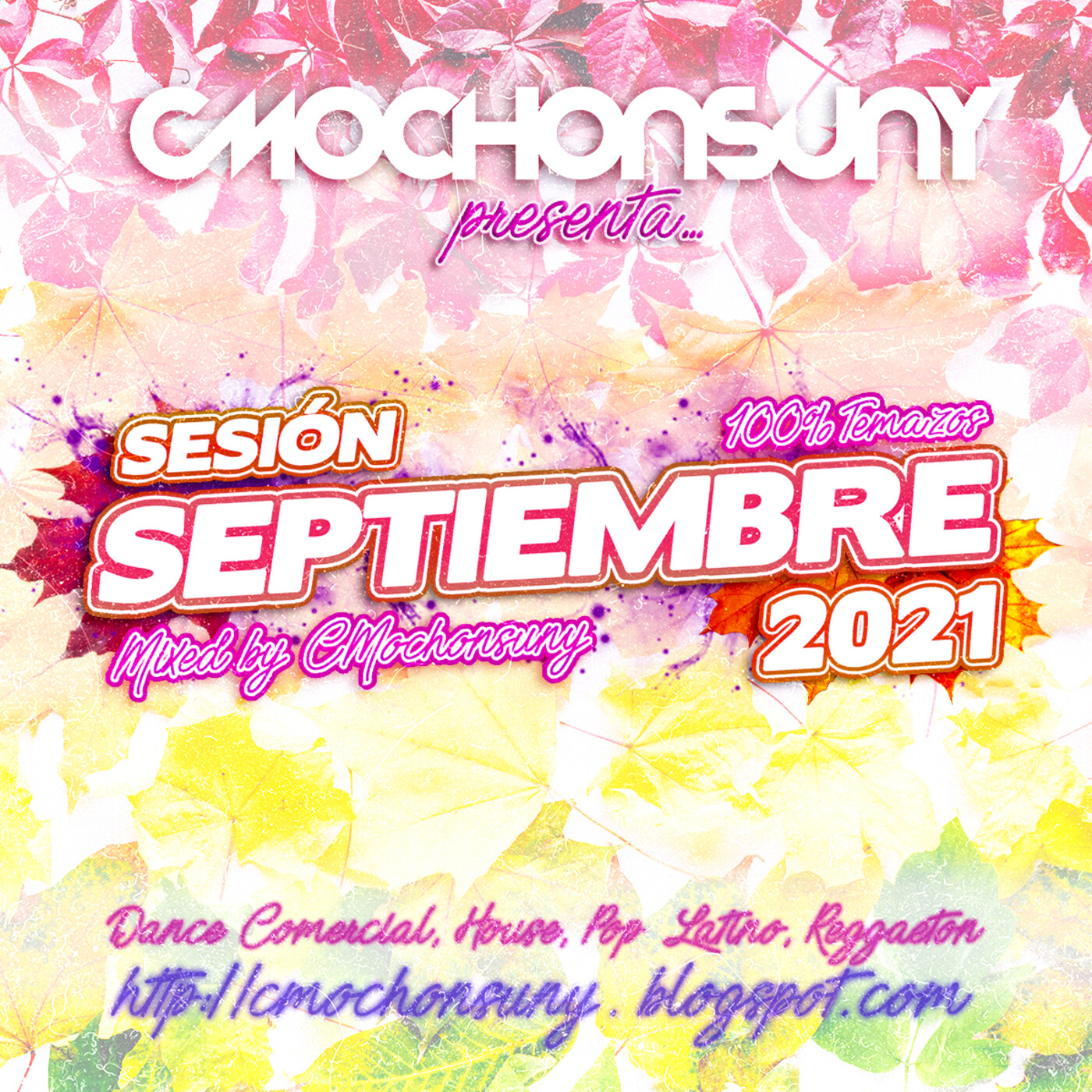 SESIONES CMOCHONSUNY