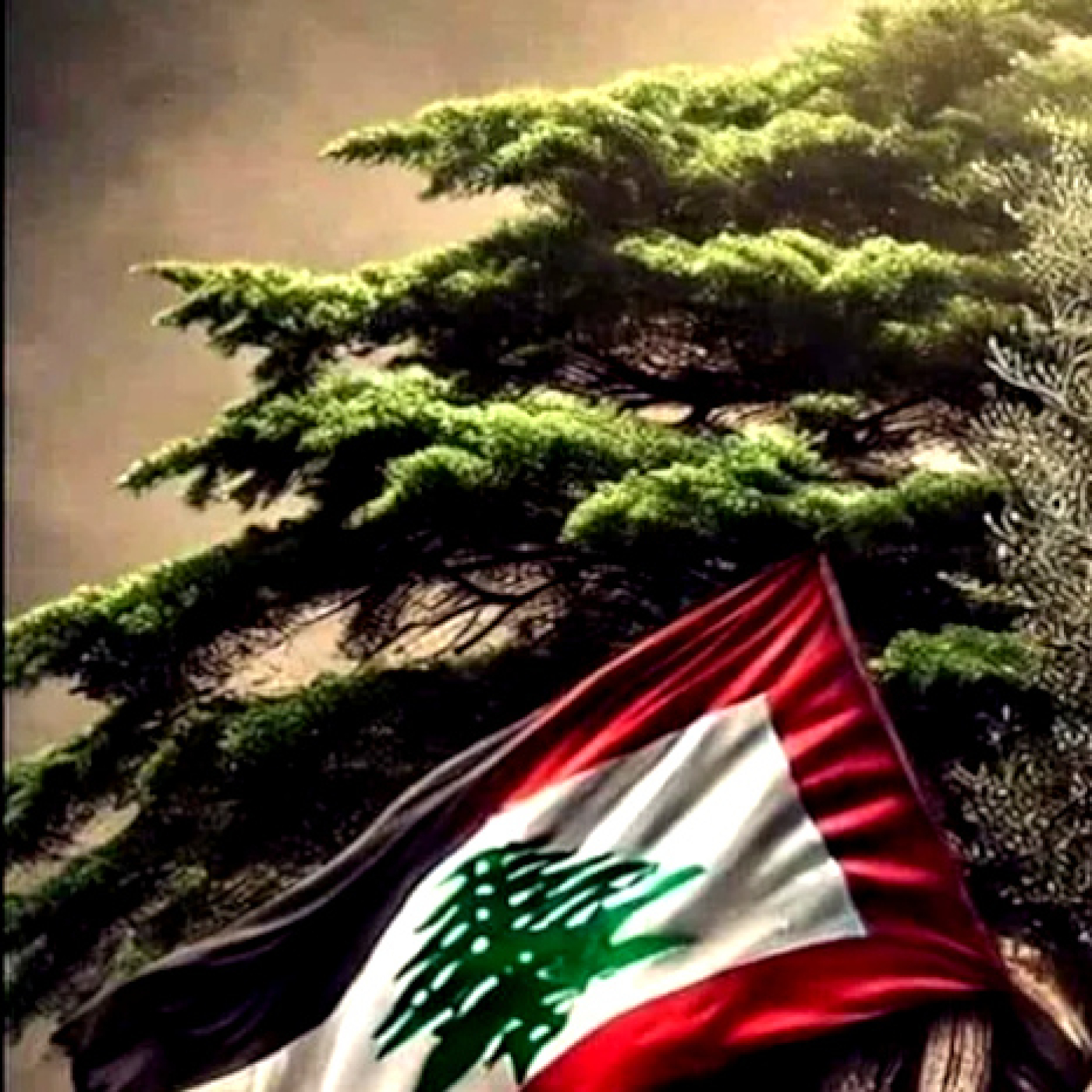 VOCES DE LA REVOLUCIÓN