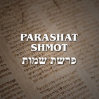 Parashat Shmot - 2020