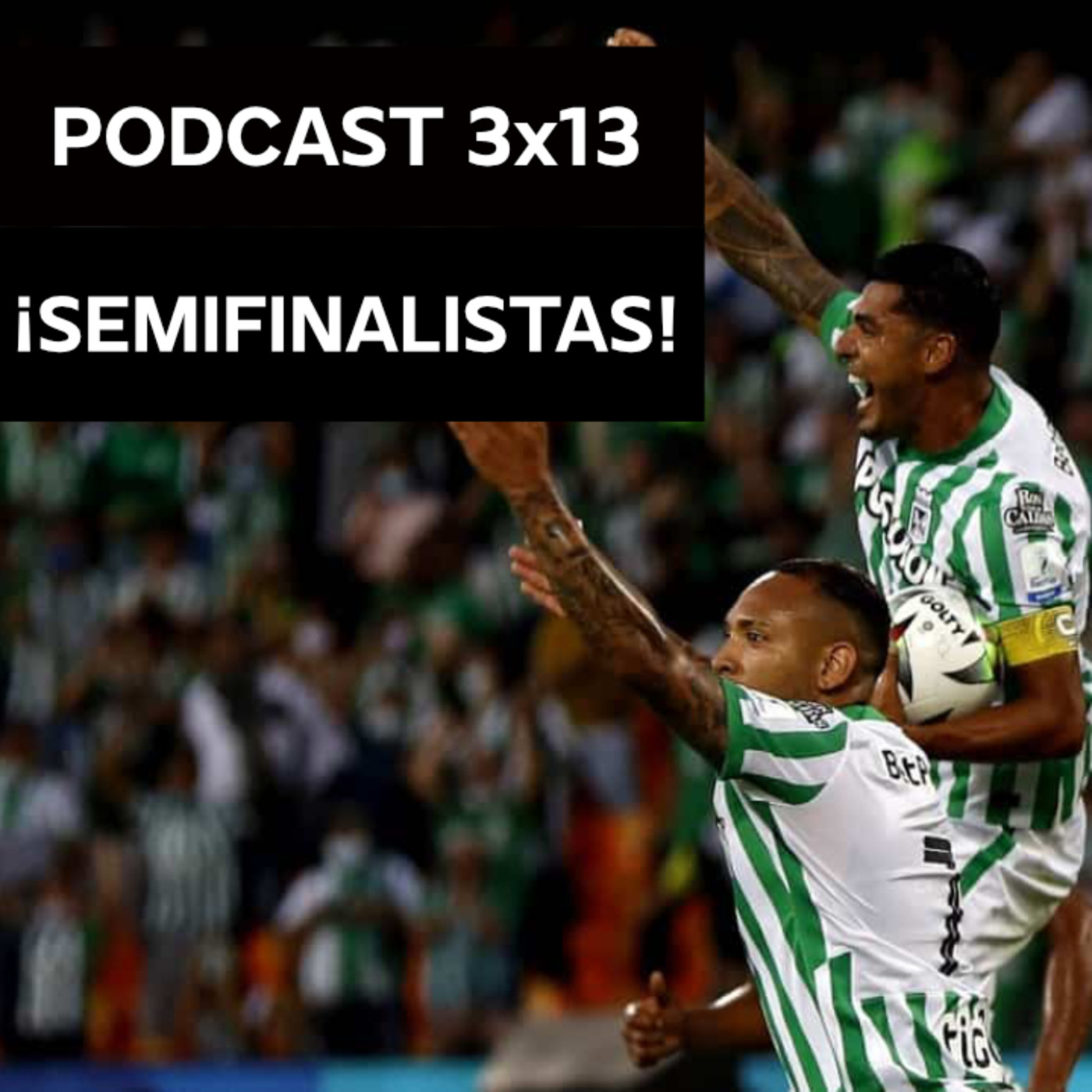 La Página Verdolaga - Podcast