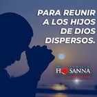 Padre John. Reflexión evangelio madrugada del 04 de Abril de 2020