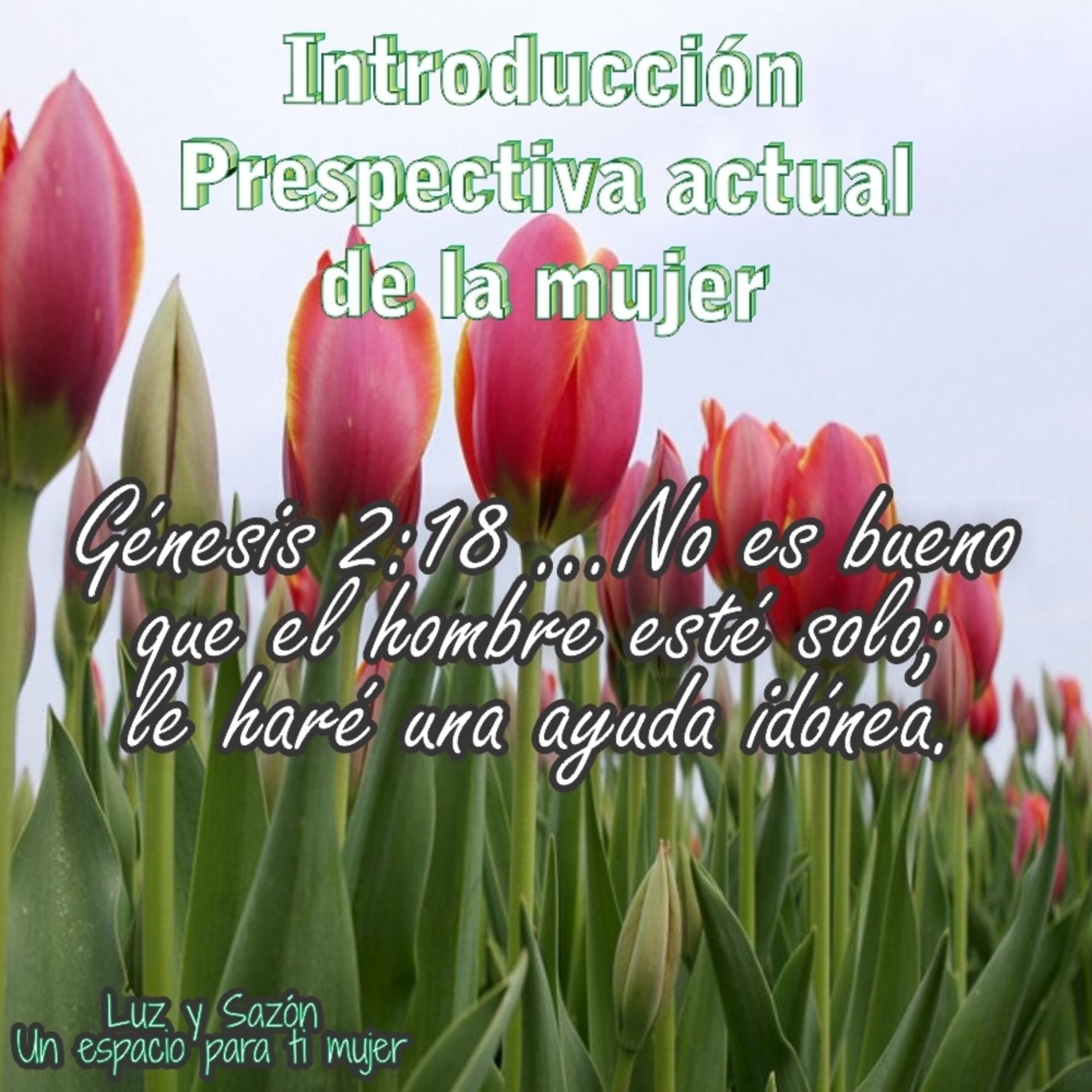 Enseñanzas varias