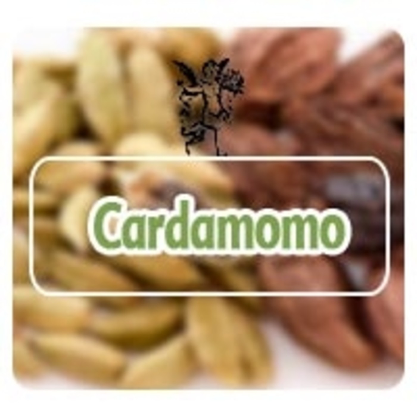 El Angel de tu Salud - CARDAMOMO* episode artwork