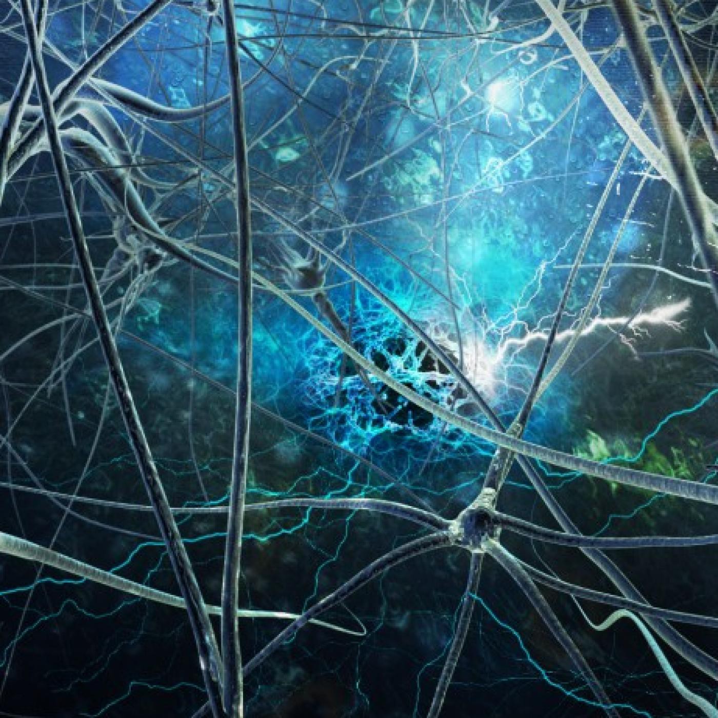 NeurofÓnicos 006: ideas claras sobre el alzheimer