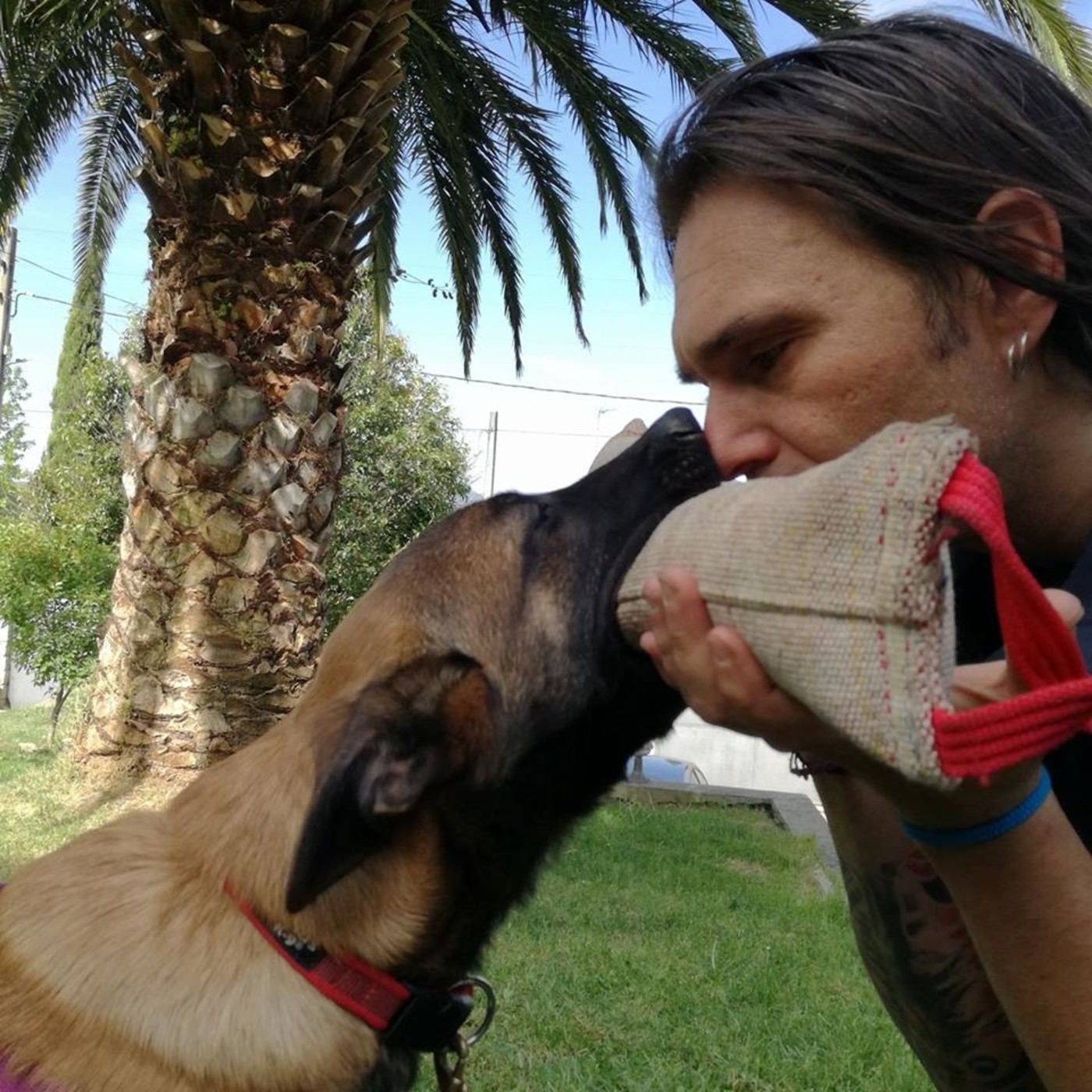 Mediteradio Pata-a-Pata