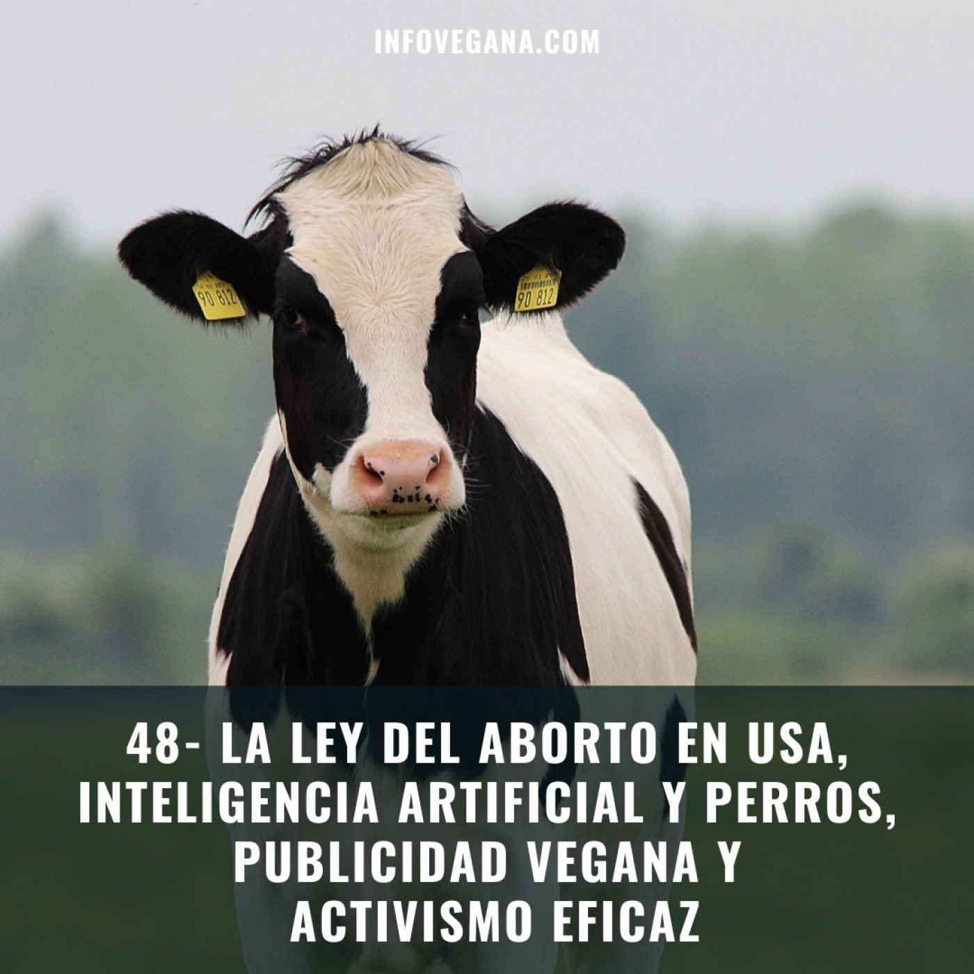 Infovegana, podcast de veganismo y sostenibilidad