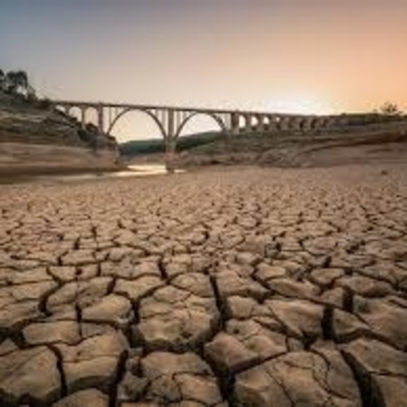 Voces de Nuestra América