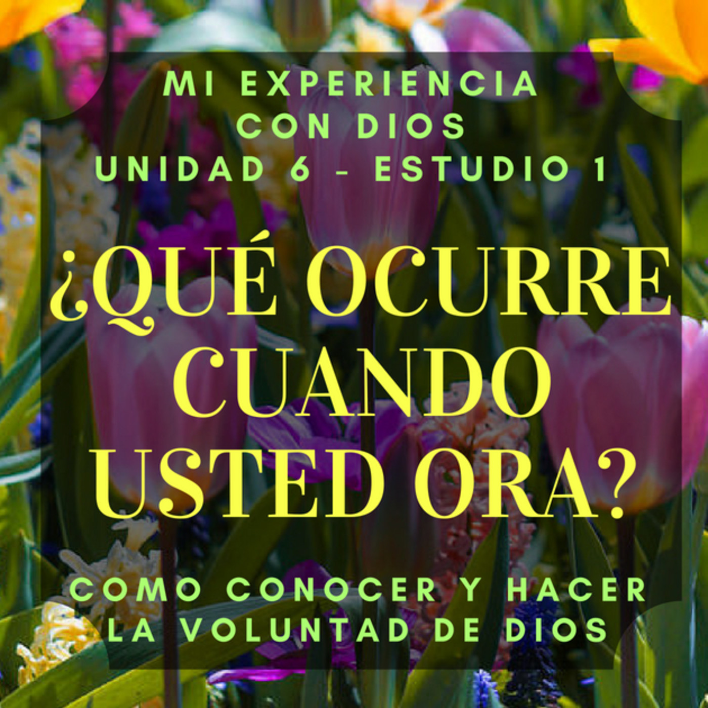 Mi Experiencia con Dios
