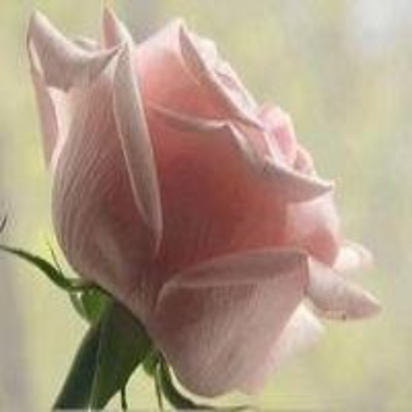 Podcast Reflexiones de Luz y Amor