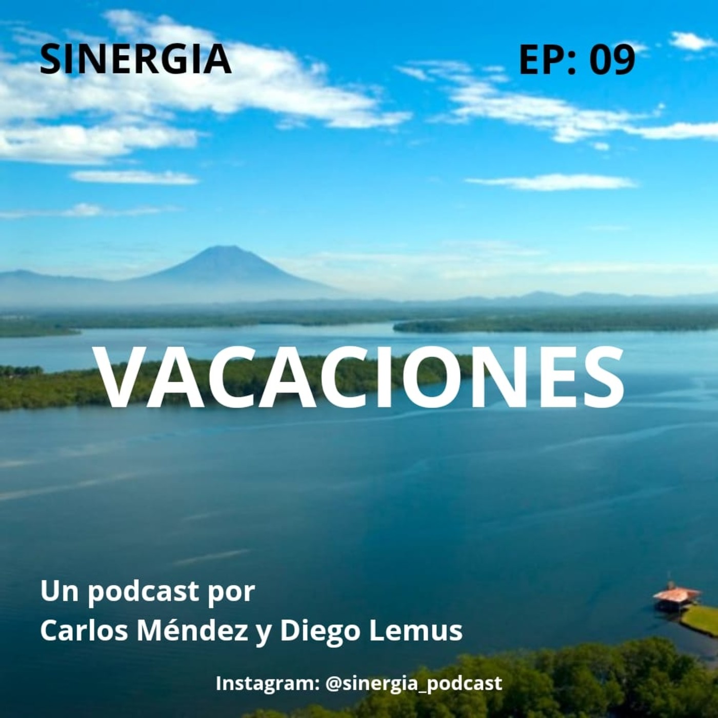 SINERGIA