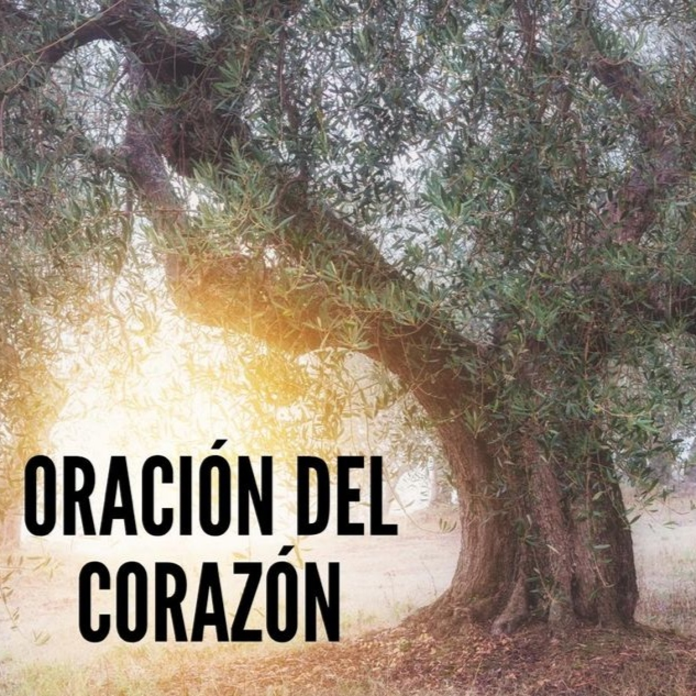 MEDITACIONES. 1er Viernes, otras. D. L.M Castillo