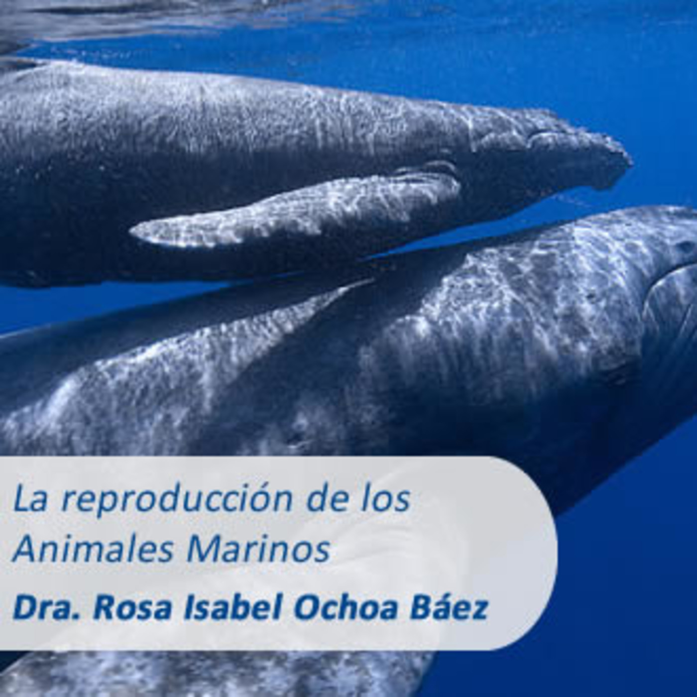 Hoy Toca Ciencia