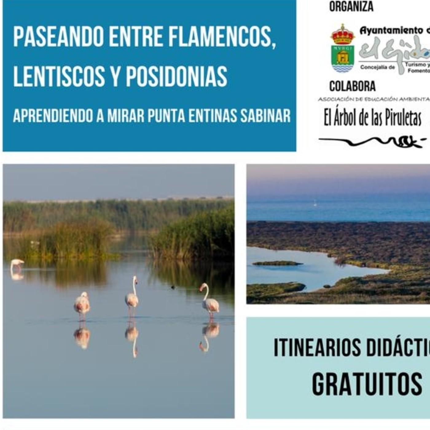 Podcast de GRANSEISMO