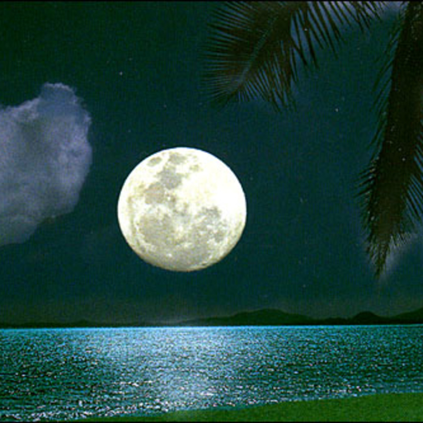LUNA DE VERANO