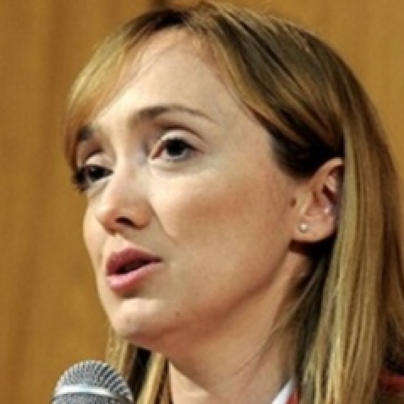 Voces del Día