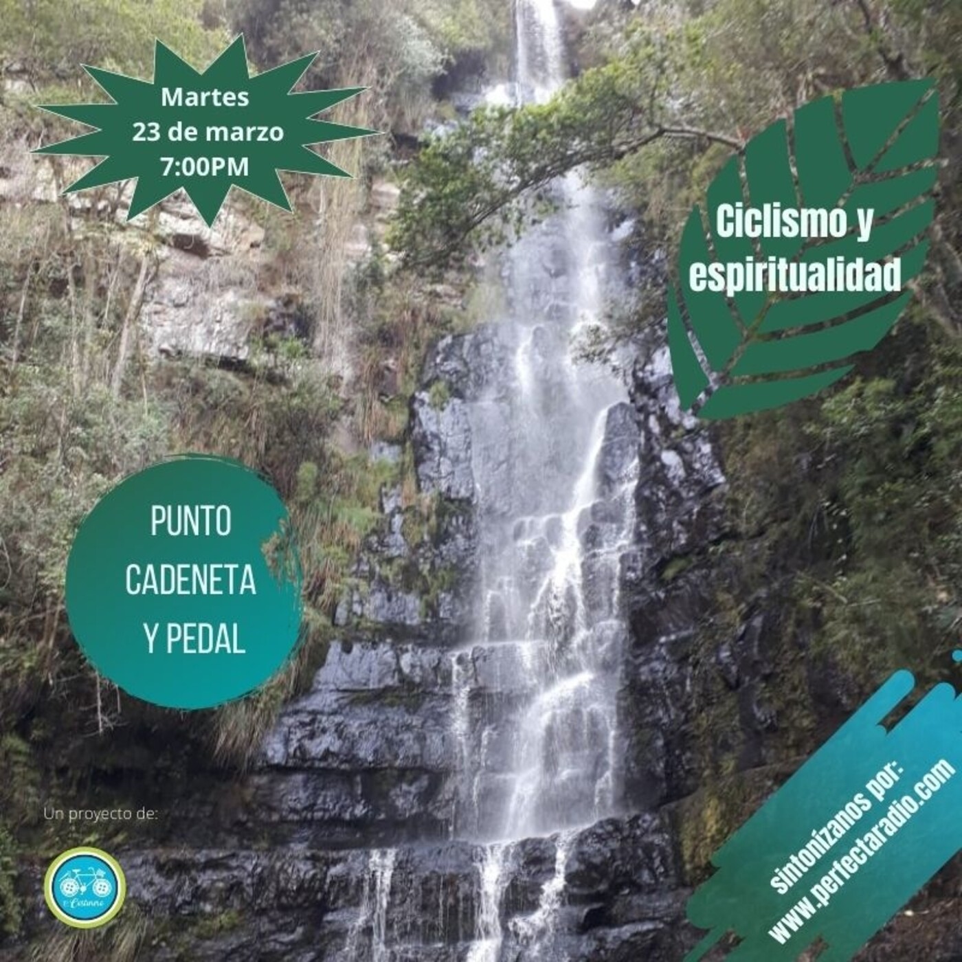 Punto, cadeneta y pedal