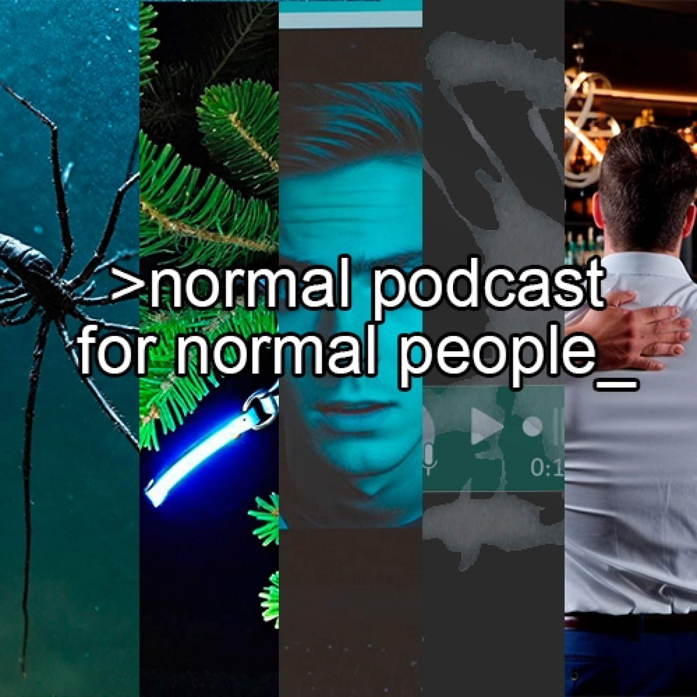 Normal Podcast for Normal People